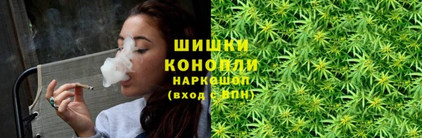 первитин Горнозаводск