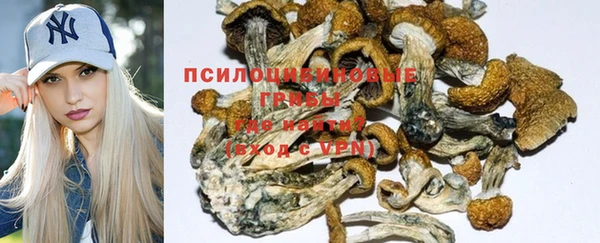 Альфа ПВП Горняк