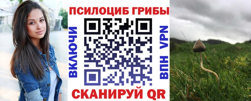 Галлюциногенные грибы мицелий  Купить закладки  Свирск 